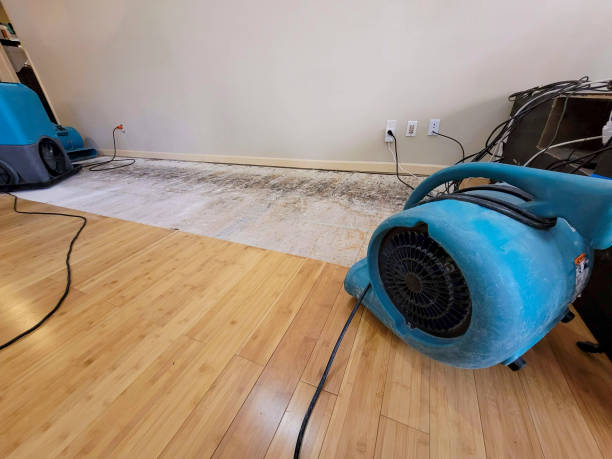 Professional Flood Damage Cleanup technician working in Antioch, IL